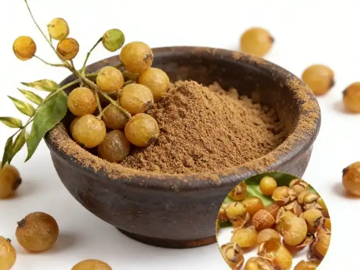 soapnut extract soapnut extract