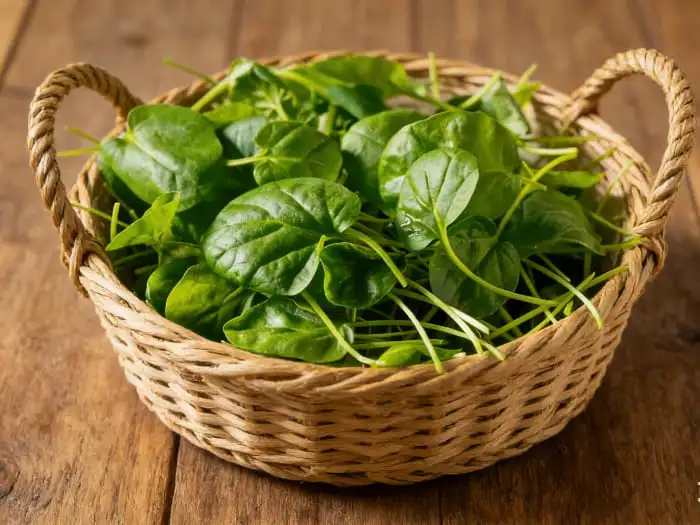watercress extract powder watercress extract powder