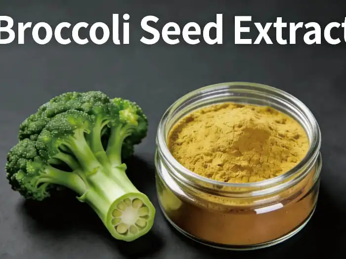 broccoli seed extract broccoli seed extract