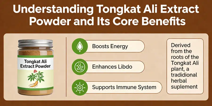 Understanding Tongkat Ali Extract Powder and Its Core Benefits Understanding Tongkat Ali Extract Powder and Its Core Benefits