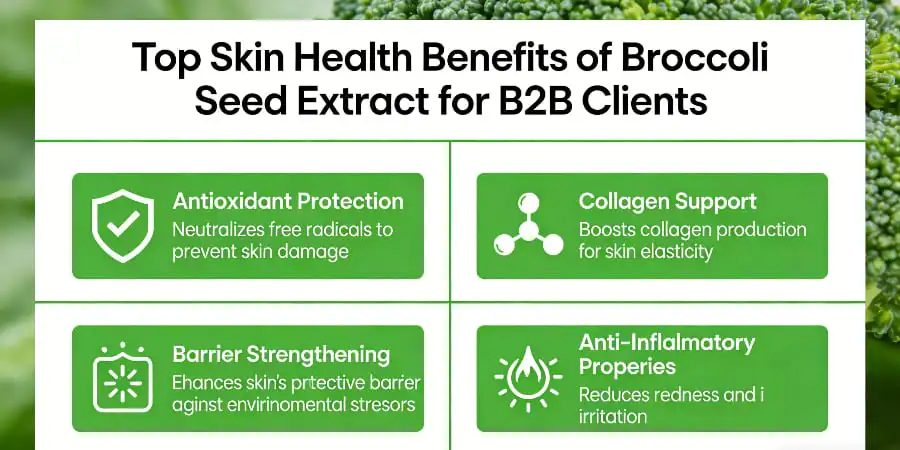 Top Skin Health Benefits of Broccoli Seed Extract for B2B Clients to Leverage Top Skin Health Benefits of Broccoli Seed Extract for B2B Clients to Leverage