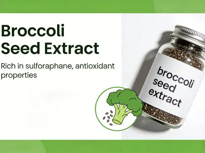 broccoli seed extract broccoli seed extract