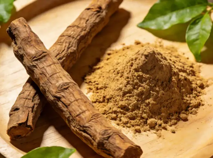tongkat ali extract powder tongkat ali extract powder