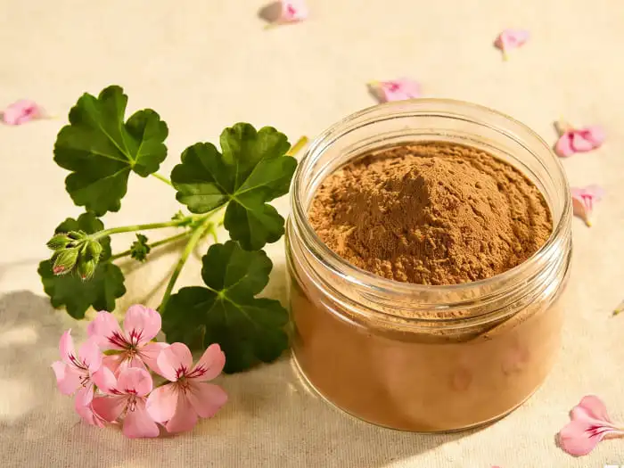 geranium extract powder geranium extract powder