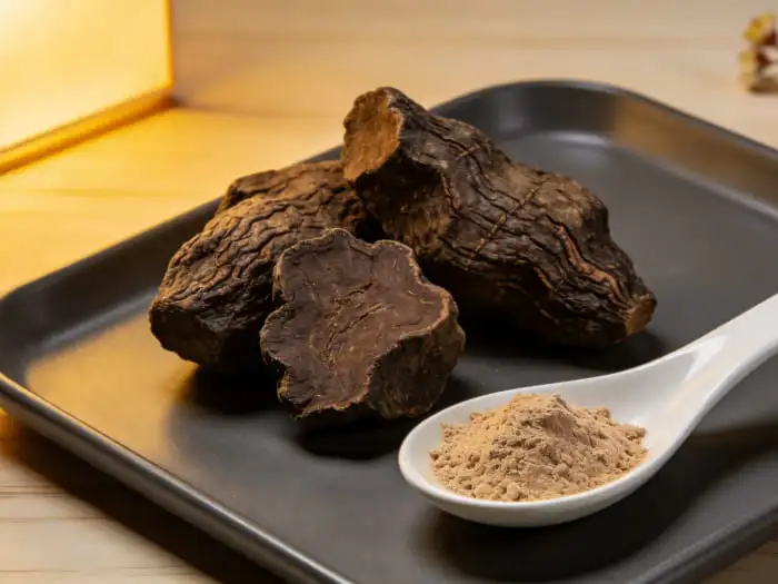 Polygonum multiflorum extract Polygonum multiflorum extract