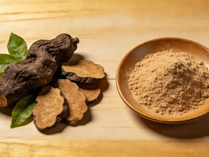 Polygonum multiflorum extract Polygonum multiflorum extract