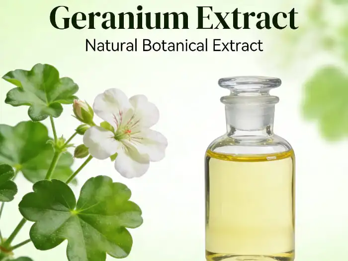 geranium extract powder geranium extract powder