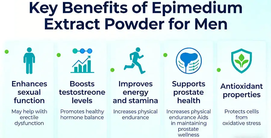 Key Benefits of Epimedium Extract Powder for Men Key Benefits of Epimedium Extract Powder for Men