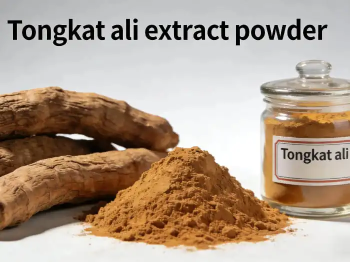 Tongkat ali extract powder Tongkat ali extract powder