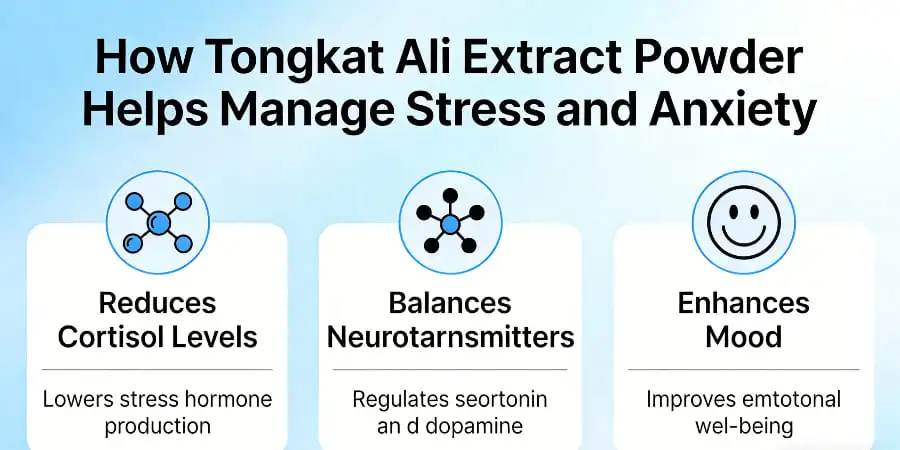 How Tongkat Ali Extract Powder Helps Manage Stress and Anxiety How Tongkat Ali Extract Powder Helps Manage Stress and Anxiety