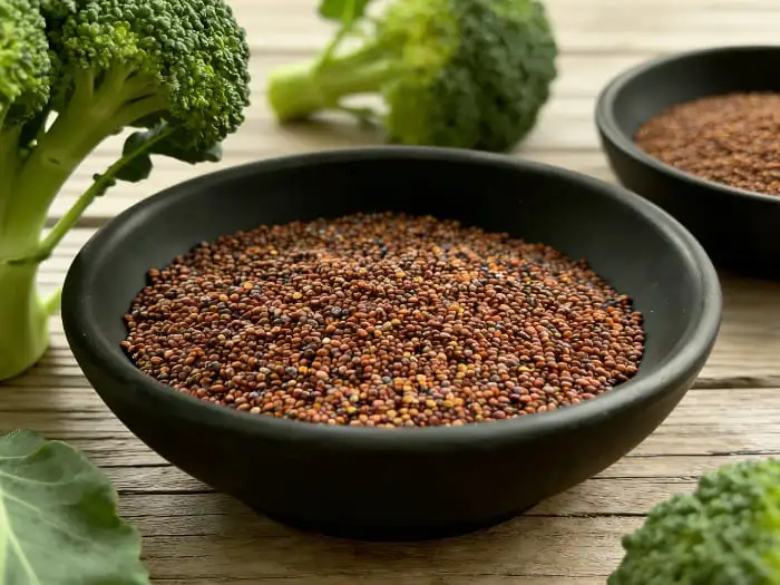 broccoli seed extract broccoli seed extract