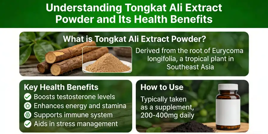 Understanding Tongkat Ali Extract Powder and Its Health Benefits Understanding Tongkat Ali Extract Powder and Its Health Benefits