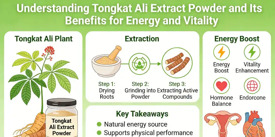 Understanding Tongkat Ali Extract Powder and Its Benefits for Energy and Vitality Understanding Tongkat Ali Extract Powder and Its Benefits for Energy and Vitality