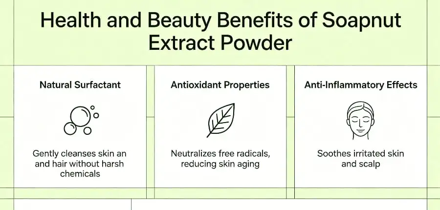 Health and Beauty Benefits of Soapnut Extract Powder Health and Beauty Benefits of Soapnut Extract Powder