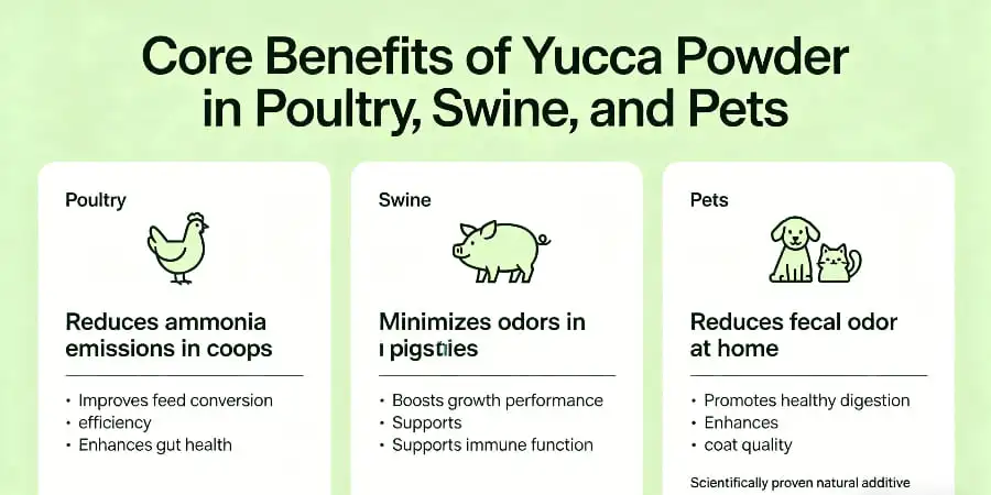 Core Benefits of Yucca Powder in Poultry, Swine, and Pets Core Benefits of Yucca Powder in Poultry, Swine, and Pets