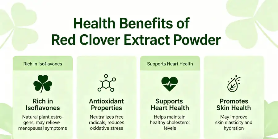 Health Benefits of Red Clover Extract Powder Health Benefits of Red Clover Extract Powder