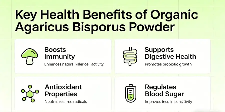 Key Health Benefits of Organic Agaricus Bisporus Powder Key Health Benefits of Organic Agaricus Bisporus Powder