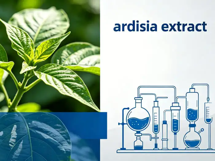ardisia extract ardisia extract