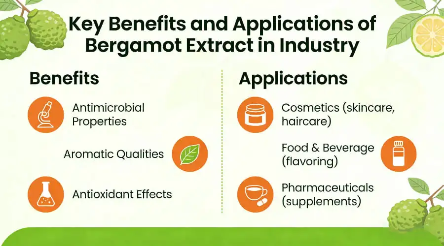 Key Benefits and Applications of Bergamot Extract in Industry Key Benefits and Applications of Bergamot Extract in Industry