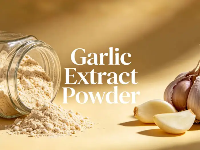 Garlic extract powder Garlic extract powder
