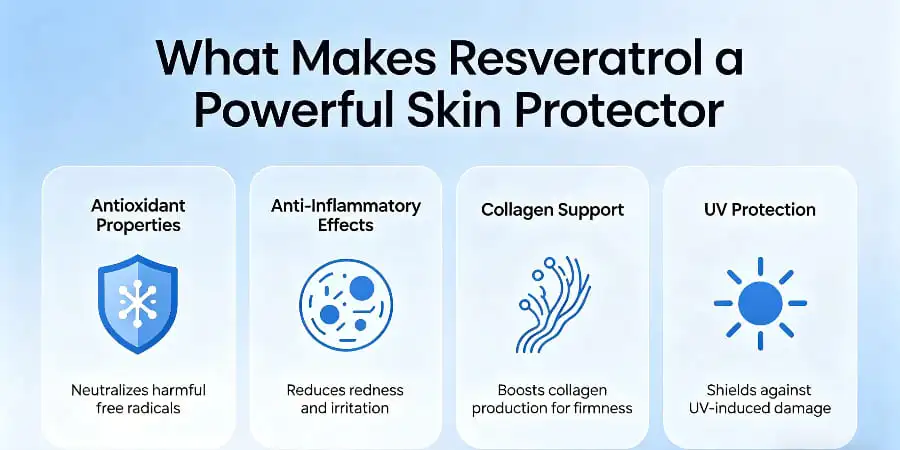 What Makes Resveratrol a Powerful Skin Protector What Makes Resveratrol a Powerful Skin Protector