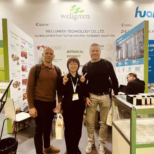 Wellgreen visitors at booth Wellgreen visitors at booth
