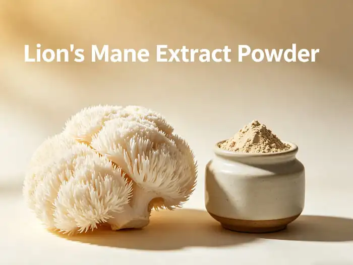 Lion's mane extract powder Lion's mane extract powder