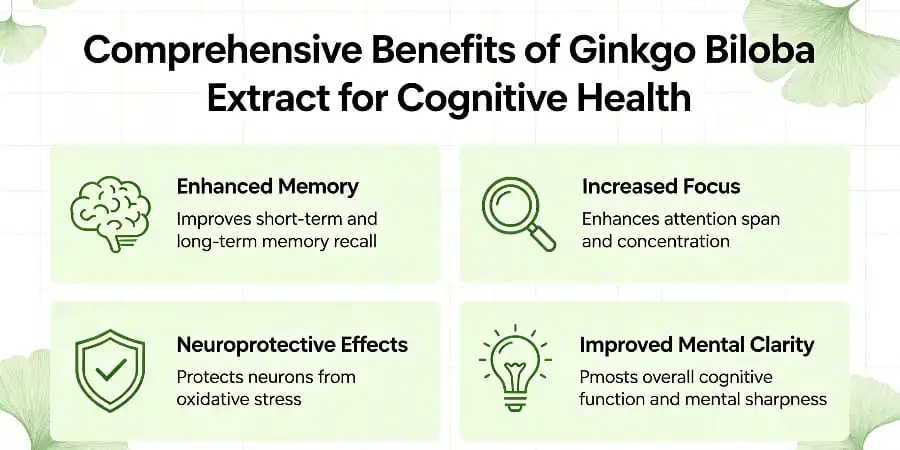 Comprehensive Benefits of Ginkgo Biloba Extract for Cognitive Health Comprehensive Benefits of Ginkgo Biloba Extract for Cognitive Health