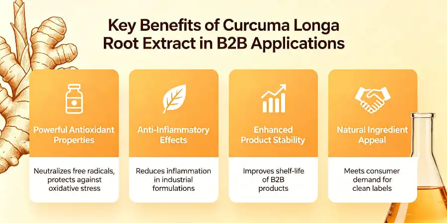 Key Benefits of Curcuma Longa Root Extract in B2B Applications Key Benefits of Curcuma Longa Root Extract in B2B Applications