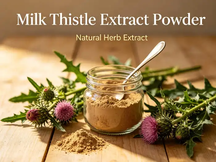 milk thistle extract milk thistle extract