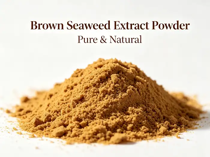 Brown seaweed extract powder Brown seaweed extract powder