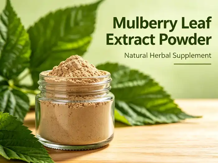 Mulberry leaf extract powder Mulberry leaf extract powder