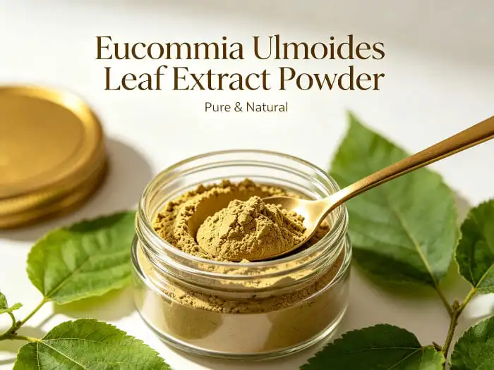 Eucommia ulmoides leaf extract Eucommia ulmoides leaf extract