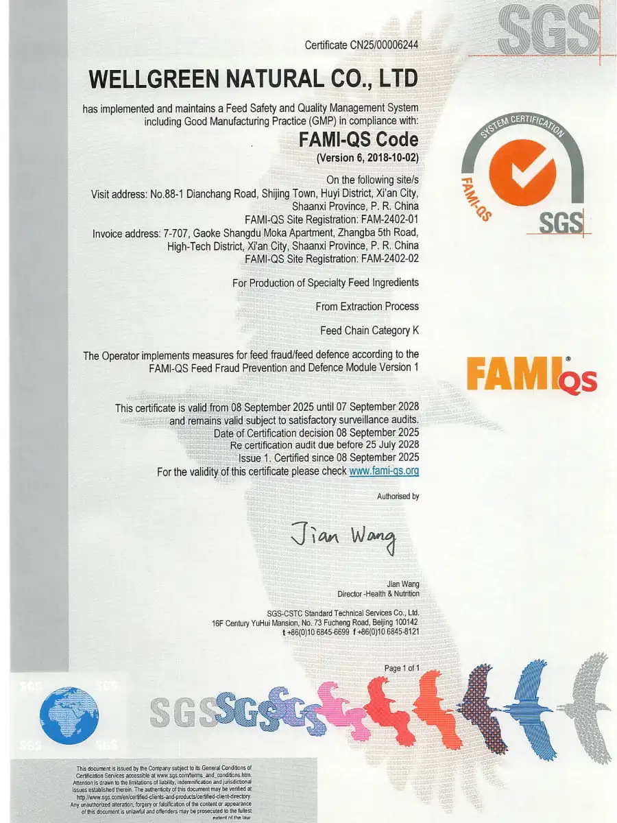 Fami-QS Fami-QS