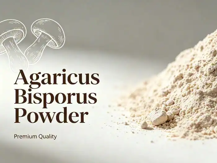 agaricus bisporus powder agaricus bisporus powder
