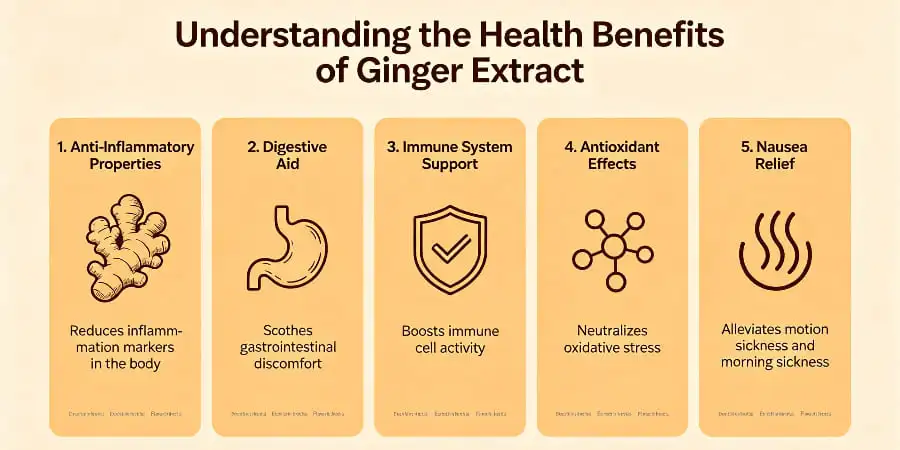 Understanding the Health Benefits of Ginger Extract Understanding the Health Benefits of Ginger Extract