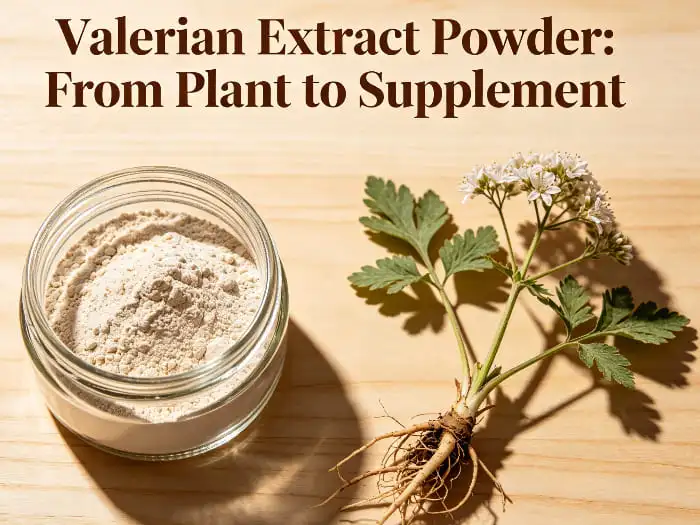 Valerian extract Valerian extract