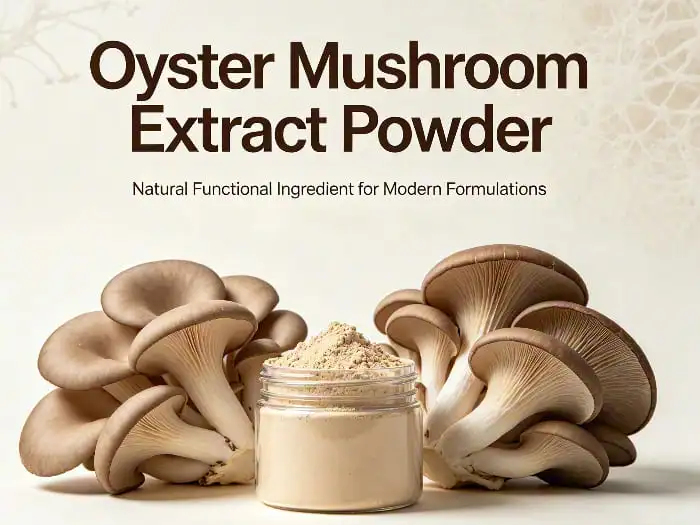 oyster mushroom extract powder oyster mushroom extract powder