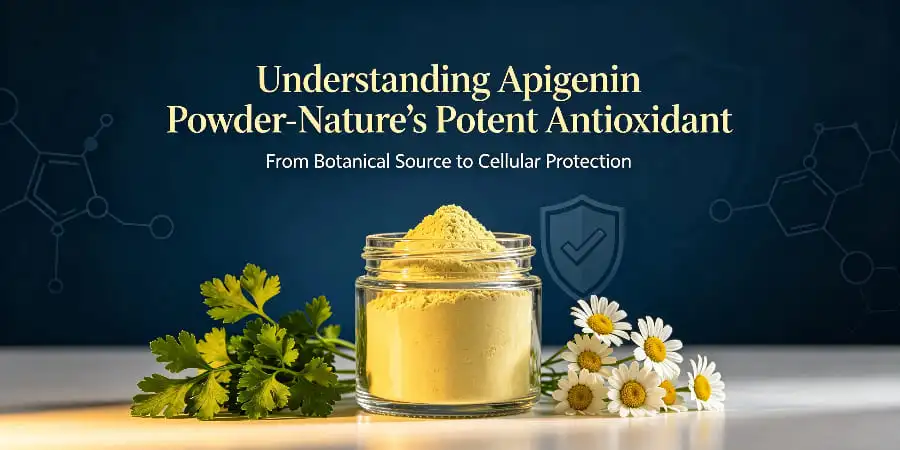 Understanding Apigenin Powder-Nature's Potent Antioxidant Understanding Apigenin Powder-Nature's Potent Antioxidant