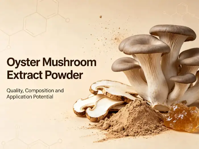 Oyster mushroom extract powder Oyster mushroom extract powder