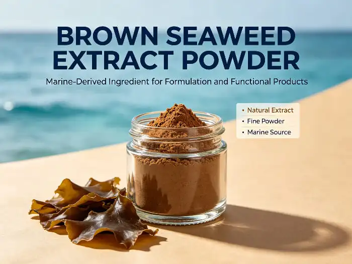 Brown seaweed extract powder Brown seaweed extract powder