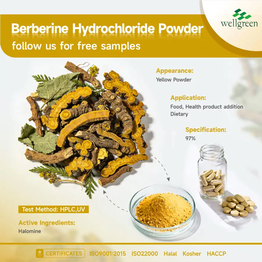 Berberine HCl Powder Berberine HCl Powder