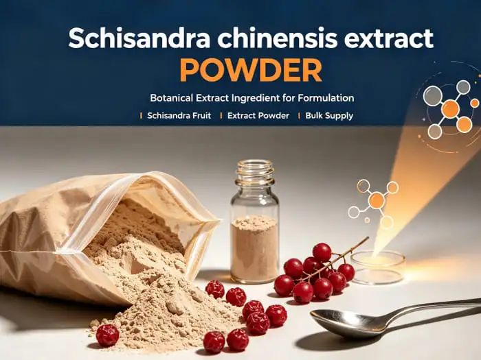 Schisandra chinensis extract Schisandra chinensis extract