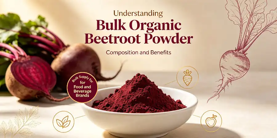 Understanding Bulk Organic Beetroot Powder-Composition and Benefits Understanding Bulk Organic Beetroot Powder-Composition and Benefits