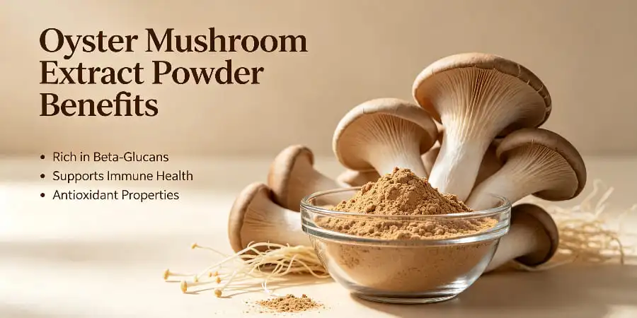 Health Benefits and Usage of Oyster Mushroom Extract Powder Health Benefits and Usage of Oyster Mushroom Extract Powder