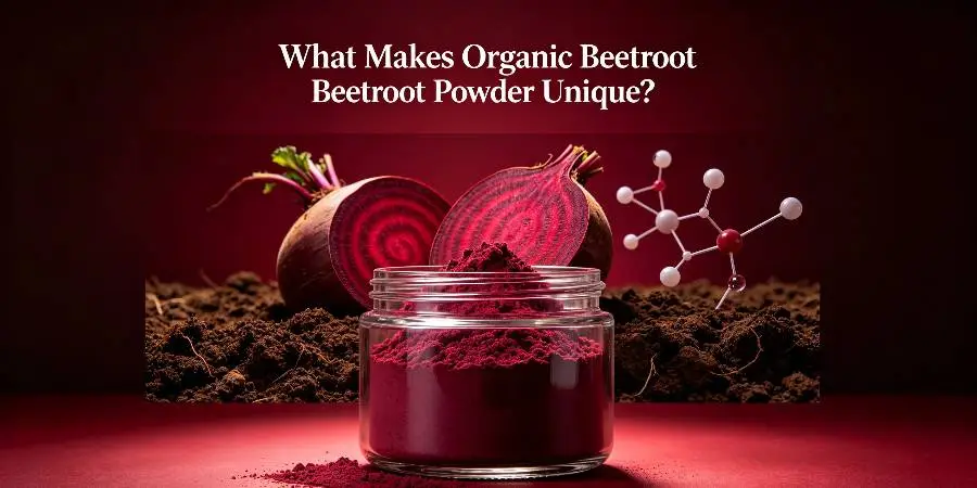 What Makes Organic Beetroot Powder Unique What Makes Organic Beetroot Powder Unique