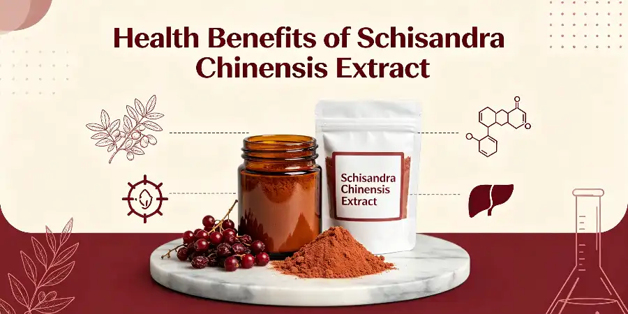 Health Benefits of Schisandra Chinensis Extract Health Benefits of Schisandra Chinensis Extract