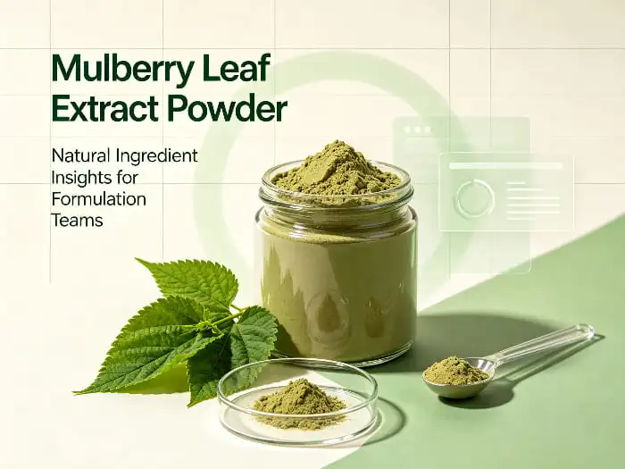 Mulberry leaf extract powder Mulberry leaf extract powder