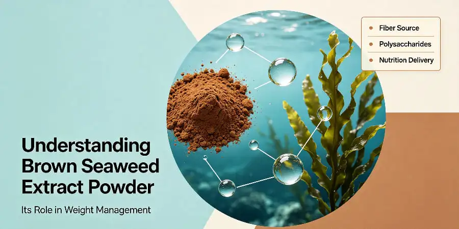 Understanding Brown Seaweed Extract Powder and Its Role in Weight Management Understanding Brown Seaweed Extract Powder and Its Role in Weight Management