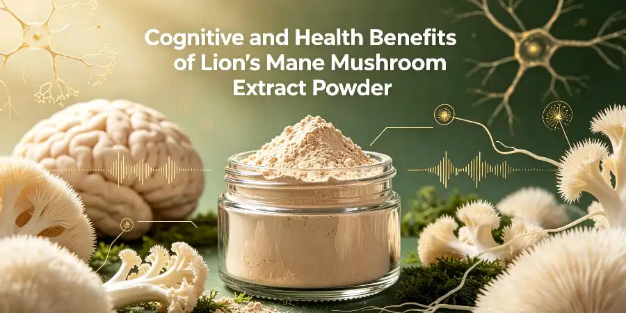 Cognitive and Health Benefits of Lion's Mane Mushroom Extract Powder Cognitive and Health Benefits of Lion's Mane Mushroom Extract Powder